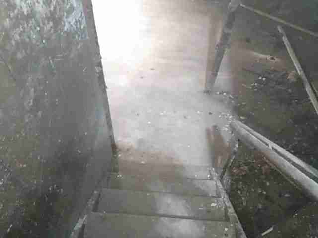 Testing again(14).jpg